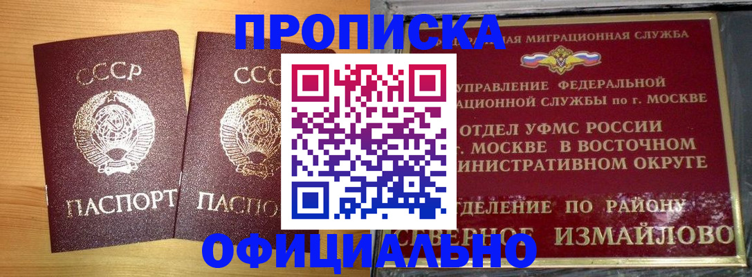 купить прописку в Кандалакше